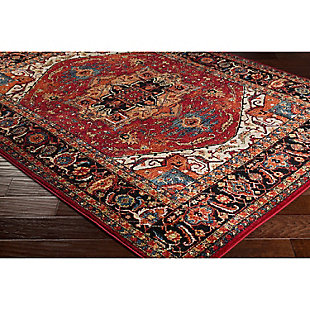 Home Accents Serapi 3' 11" X 5' 7" Area Rug, Red, rollover