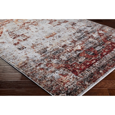Home Accents Serapi 3' 11" X 5' 7" Area Rug, Red, large