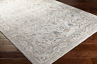 Home Accent Lowry 2'7" x 4' Accent Rug, Brown/Beige, rollover