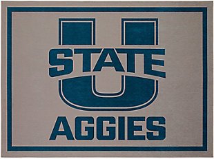 Addison Campus Utah State 2'5" x 3'8" Accent Rug, Pewter, large
