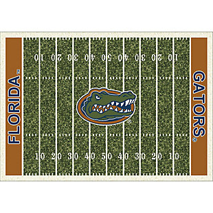 Imperial International University Of Florida 4' x 6' Homefield Accent Rug, , large