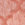 Swatch color Coral/Orange , product with this swatch is currently selected