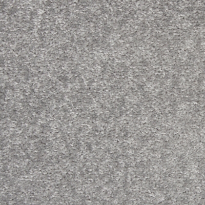 Swatch color Silver/Gray 
