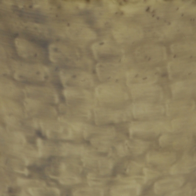 Swatch color Antique Gold 