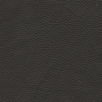Swatch color Onyx 