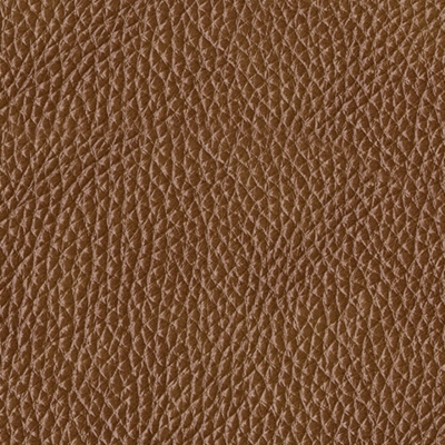 Swatch color Caramel , product with this swatch is currently selected