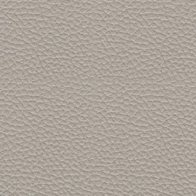 Swatch color Gray 