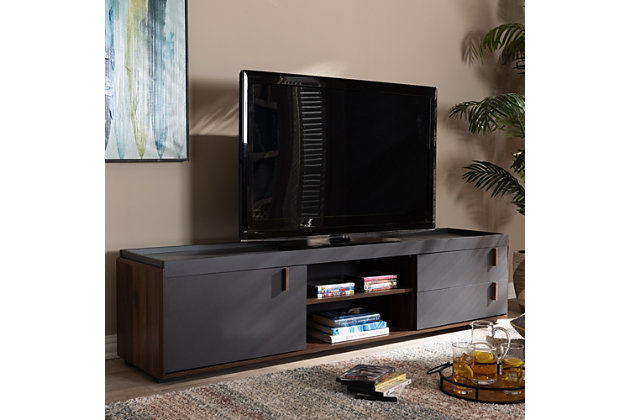 Baxton Studio Rikke Contemporary Two-Tone Gray 2-Drawer TV Stand | Ashley
