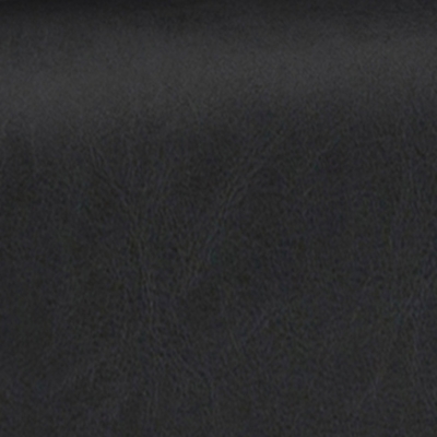 Swatch color Black 