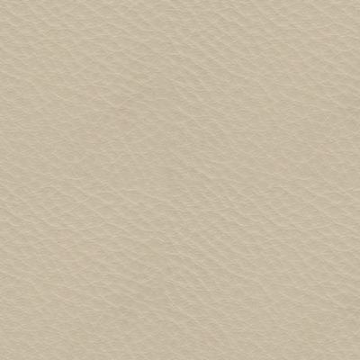 Swatch color Almond 