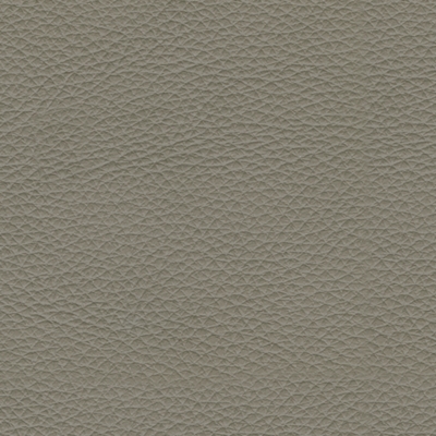 Swatch color Gray , product with this swatch is currently selected