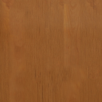Swatch color Brown 